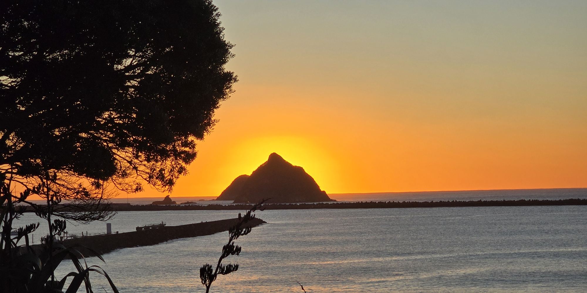Sunset behind an island off the New Zealand coast, framed by a tree and flax in silhouette.